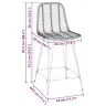 Bāra Krēsls 2 Pcs Dabiska 44,5 X 54,5 X 97,5 Cm Raten Un Dzelzs Vidaxl