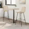Bāra Krēsls 2 Pcs Dabiska 44,5 X 53 X 111 Cm Raten Un Dzelzs Vidaxl