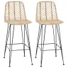 Bāra Krēsls 2 Pcs Dabiska 44,5 X 53 X 111 Cm Raten Un Dzelzs Vidaxl