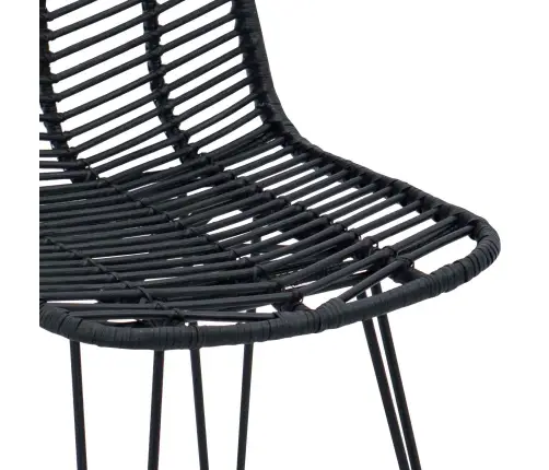 Bāra Krēsls 2 Pcs Melna 44,5 X 53 X 111 Cm Raten Un Dzelzs Vidaxl