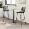 Bāra Krēsls 2 Pcs Melna 44,5 X 53 X 111 Cm Raten Un Dzelzs Vidaxl