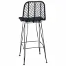 Bāra Krēsls 2 Pcs Melna 44,5 X 53 X 111 Cm Raten Un Dzelzs Vidaxl