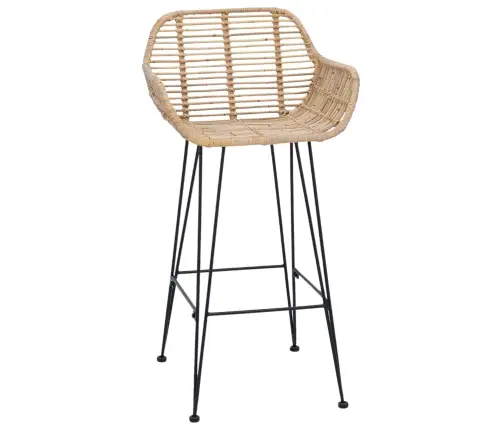 Bāra Krēsls 2 Pcs Dabiska 55 X 52 X 92 Cm Raten Un Dzelzs Vidaxl