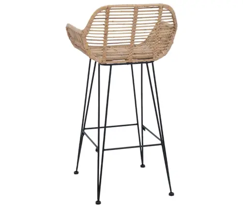 Bāra Krēsls 2 Pcs Dabiska 55 X 52 X 92 Cm Raten Un Dzelzs Vidaxl