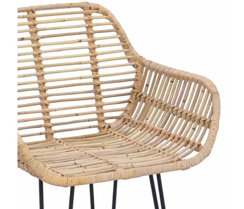 Bāra Krēsls 2 Pcs Dabiska 55 X 52 X 92 Cm Raten Un Dzelzs Vidaxl