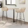 Bāra Krēsls 2 Pcs Dabiska 55 X 52 X 92 Cm Raten Un Dzelzs Vidaxl