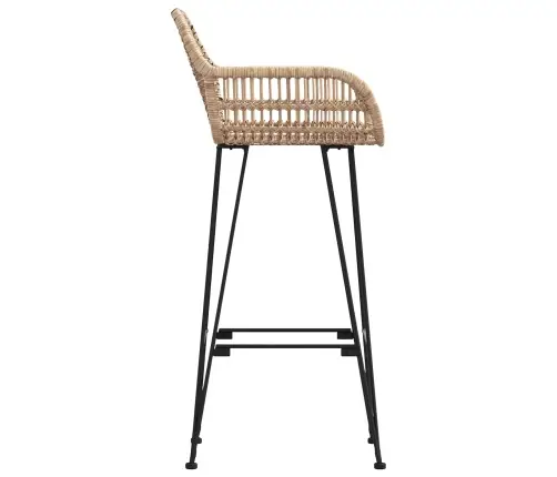 Bāra Krēsls 2 Pcs Dabiska 55 X 52 X 92 Cm Raten Un Dzelzs Vidaxl