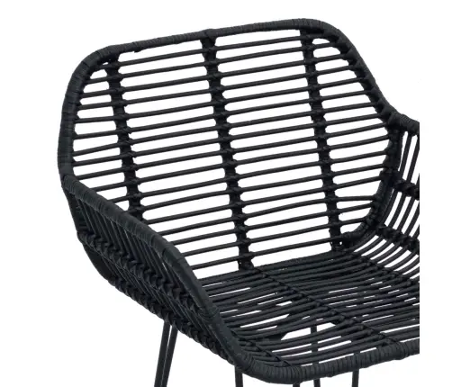 Bāra Krēsls 2 Pcs Melna 55 X 52 X 92 Cm Raten Un Dzelzs Vidaxl