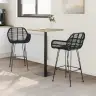 Bāra Krēsls 2 Pcs Melna 55 X 52 X 92 Cm Raten Un Dzelzs Vidaxl