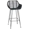 Bāra Krēsls 2 Pcs Melna 55 X 52 X 92 Cm Raten Un Dzelzs Vidaxl