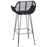 Bāra Krēsls 2 Pcs Melna 55 X 52 X 92 Cm Raten Un Dzelzs Vidaxl