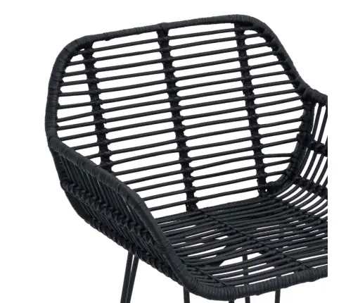 Bāra Krēsls 2 Pcs Melna 55 X 52 X 92 Cm Raten Un Dzelzs Vidaxl