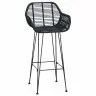 Bāra Krēsls 2 Pcs Melna 55 X 52 X 92 Cm Raten Un Dzelzs Vidaxl
