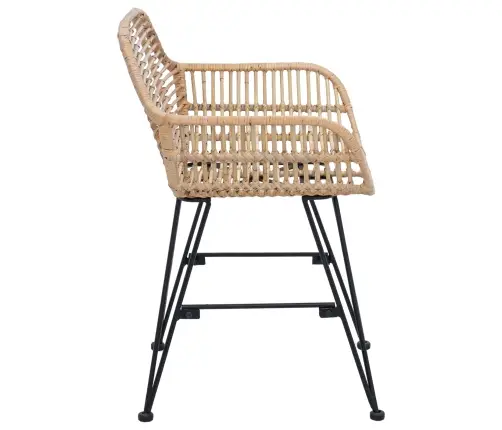 Valgomasis Krėslas 2 Pcs Natūrali 55 X 50 X 74 Cm