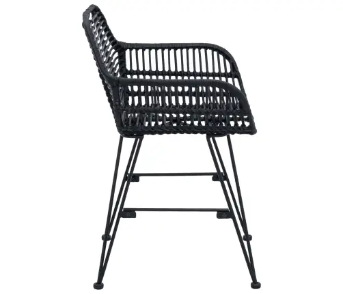 Ēdamistabas Krēsls 2 Pcs Melna 55 X 50 X 74 Cm Raten Un Dzelzs Vidaxl