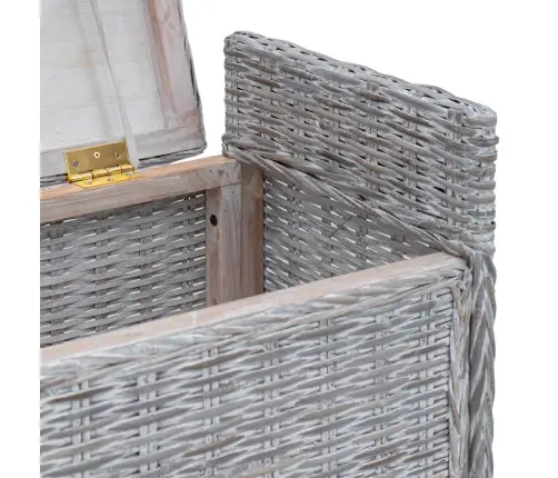 Panipaigaga Pink Padjaga Valge Pesu 110 X 40 X 50 Cm Rotang