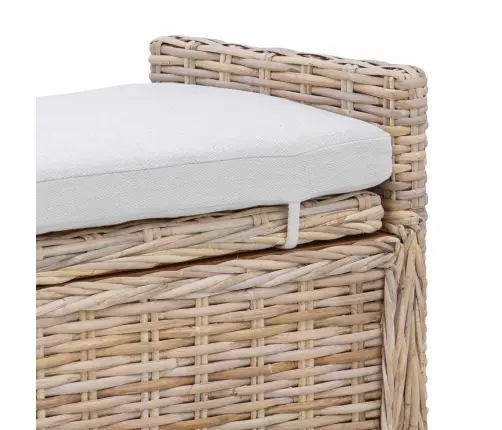 Panipaigaga Pink Padjaga Neutraalne 110 X 40 X 50 Cm Rotang