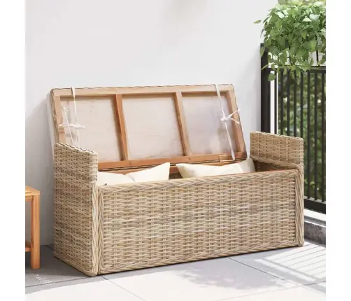 Panipaigaga Pink Padjaga Neutraalne 110 X 40 X 50 Cm Rotang