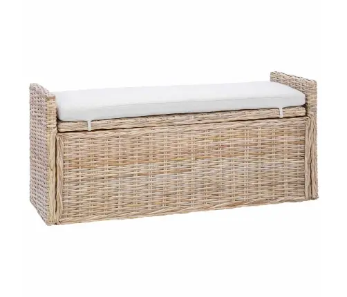 Panipaigaga Pink Padjaga Neutraalne 110 X 40 X 50 Cm Rotang