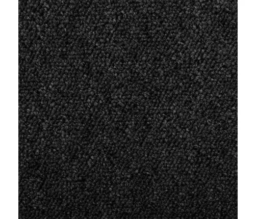 Vaip Jooksur Antratsiit 80 X 500 Cm 100% Polüpropüleen