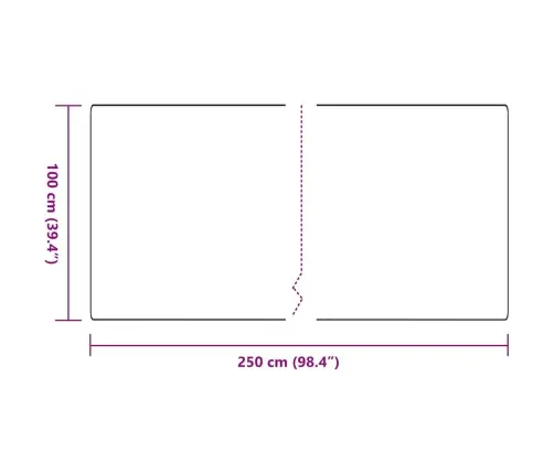 Kilimėlio Bėgimo Kilimas Antracitas 100 X 250 Cm