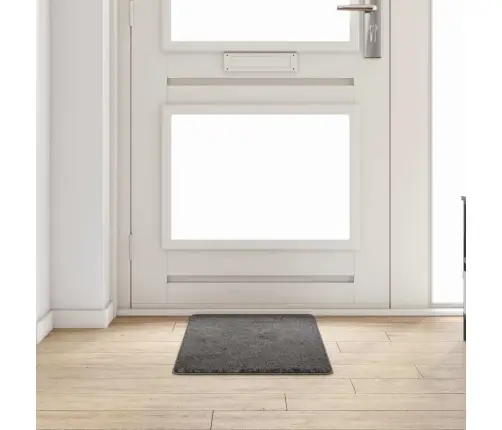 Paklāja Skrējējs Pelēka 50 X 100 Cm 100% Polipropilēna Kušķis Vidaxl