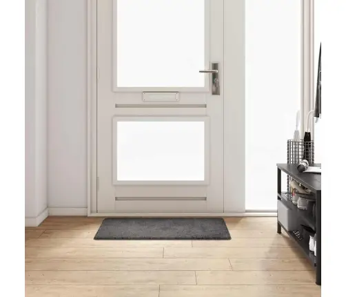 Paklāja Skrējējs Pelēka 50 X 100 Cm 100% Polipropilēna Kušķis Vidaxl