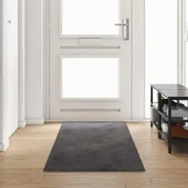 Paklāja Skrējējs Pelēka 80 X 300 Cm 100% Polipropilēna Kušķis Vidaxl Paklāja Skrējējs Pelēka 80 X 300 Cm 100% Polipropilēna Kušķis Vidaxl