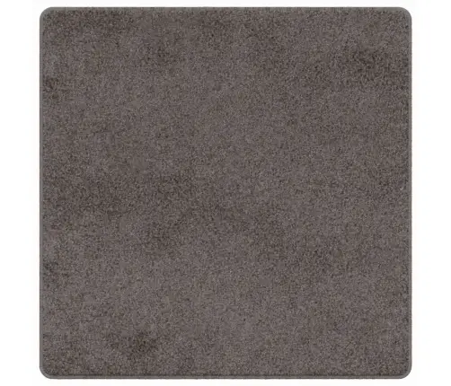 Vaip Jooksur Hall 100 X 100 Cm 100% Polüpropüleen Tuft