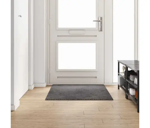 Kilimėlio Bėgimo Kilimas Pilka 100 X 150 Cm