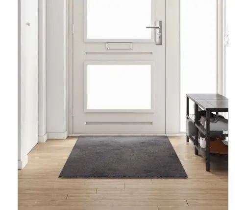 Paklāja Skrējējs Pelēka 100 X 250 Cm 100% Polipropilēna Kušķis Vidaxl