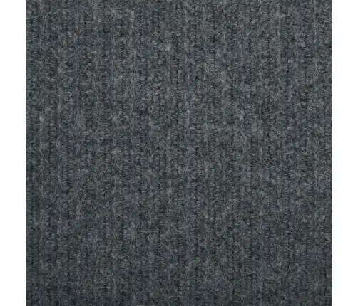 Kilimėlio Bėgimo Kilimas Pilka 80 X 400 Cm Audinys