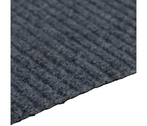 Vaip Jooksur Hall 80 X 500 Cm Kangas