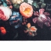 Virtuves Paklājs Floral Ziedi 60 X 180 Cm Samts Vidaxl