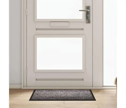 Durvju Paklājs Gaiši Pelēks 60 X 80 Cm Teddy Audums Vidaxl