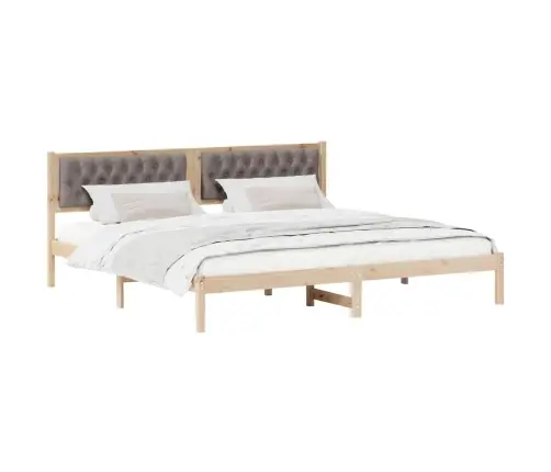 Lovos Rėmas Taupe 200 X 200 Cm Kietos Pušies Mediena