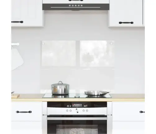 Virtuvės Užpakalinė Plokštė Skaidrus 70 X 50 Cm