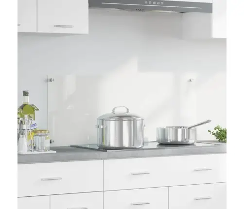 Virtuves Aizsargpanelis Caurspīdīgs 100 X 40 X 0.8 Cm Vidaxl