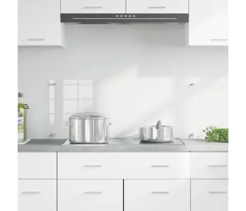 Virtuves Aizsargpanelis Caurspīdīgs 100 X 40 X 0.8 Cm Vidaxl