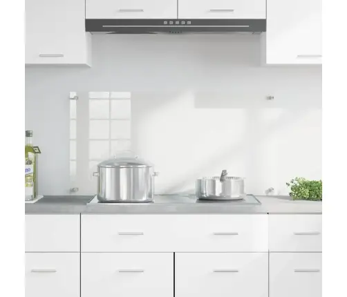 Virtuves Aizsargpanelis Caurspīdīgs 100 X 50 X 0.8 Cm Vidaxl