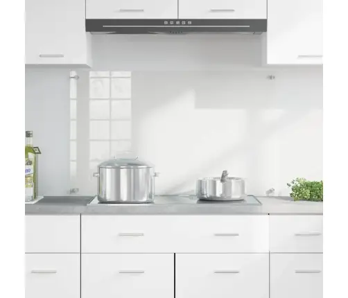 Virtuves Aizsargpanelis Caurspīdīgs 100 X 60 X 0.8 Cm Vidaxl