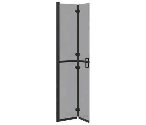 Ieejoša Dušas Siena Cits Melna Un Tumši Caurspīdīga 70 X 190 Cm Vidaxl