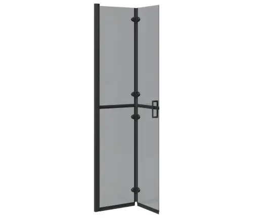 Ieejoša Dušas Siena Cits Melna Un Tumši Caurspīdīga 80 X 190 Cm Vidaxl