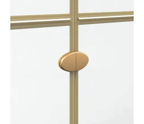 Ieejoša Dušas Siena Cits Zelta Un Caurspīdīga 70 X 190 Cm Vidaxl