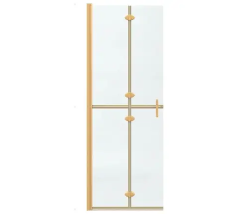 Ieejoša Dušas Siena Cits Zelta Un Caurspīdīga 70 X 190 Cm Vidaxl