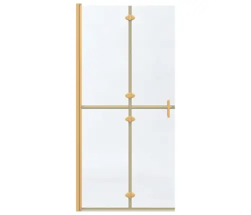 Käiguduši Sein Kuldne Ja Läbipaistev 90 X 190 Cm