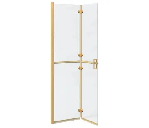 Ieejoša Dušas Siena Cits Zelta Un Caurspīdīga 100 X 190 Cm Vidaxl
