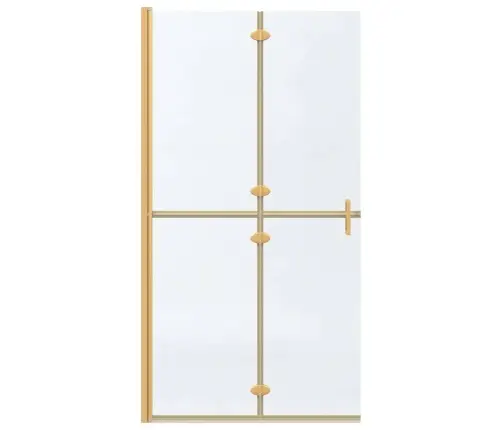 Ieejoša Dušas Siena Cits Zelta Un Caurspīdīga 100 X 190 Cm Vidaxl