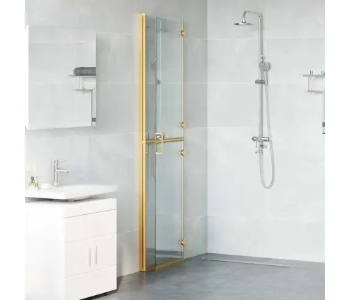 Käiguduši Sein Kuldne Ja Läbipaistev 110 X 190 Cm