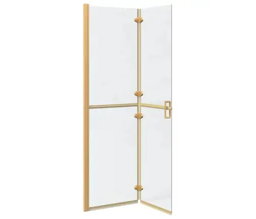 Käiguduši Sein Kuldne Ja Läbipaistev 110 X 190 Cm